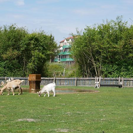 Huize De Duinen Aparthotel Bergen aan Zee Ngoại thất bức ảnh