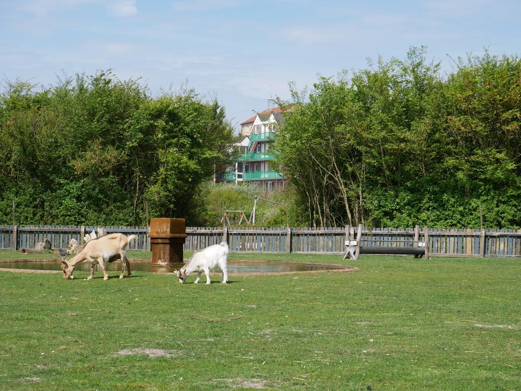 Huize De Duinen Aparthotel Bergen aan Zee Ngoại thất bức ảnh