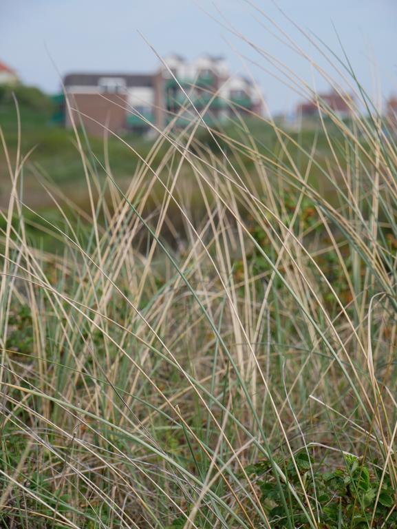 Huize De Duinen Aparthotel Bergen aan Zee Ngoại thất bức ảnh